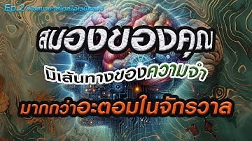 มหัศจรรย์สมองของเรา "Ep.2 ฟังสบายๆ"