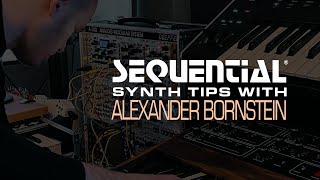 Sequential Synth Tips With Alexander Bornstein: Pro 3 Programming