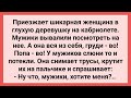 Городская Фифа Дразнит Деревенских Мужиков! Сборник Свежих Смешных Жизненных Анекдотов!