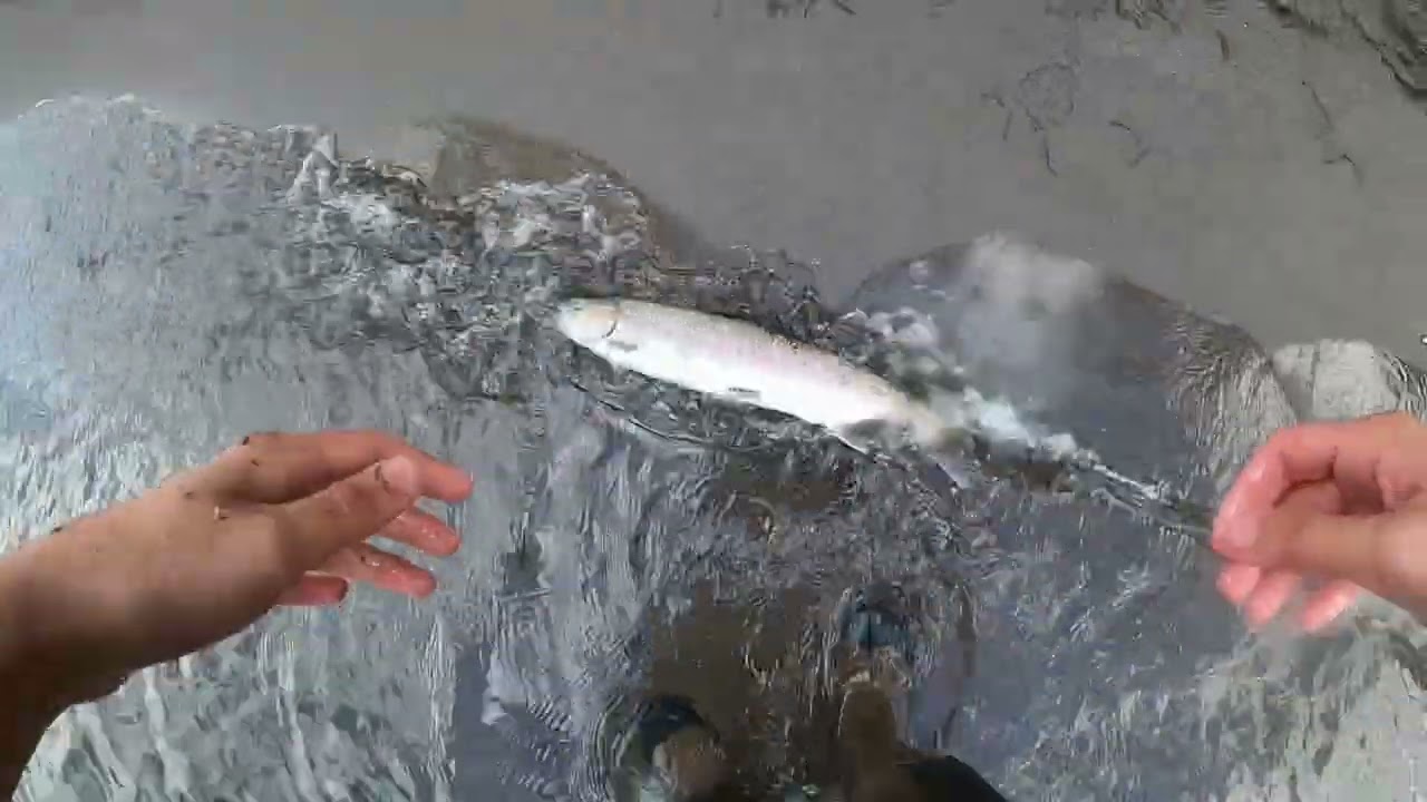 Solo Winter steelhead fishing in gods beautiful creation