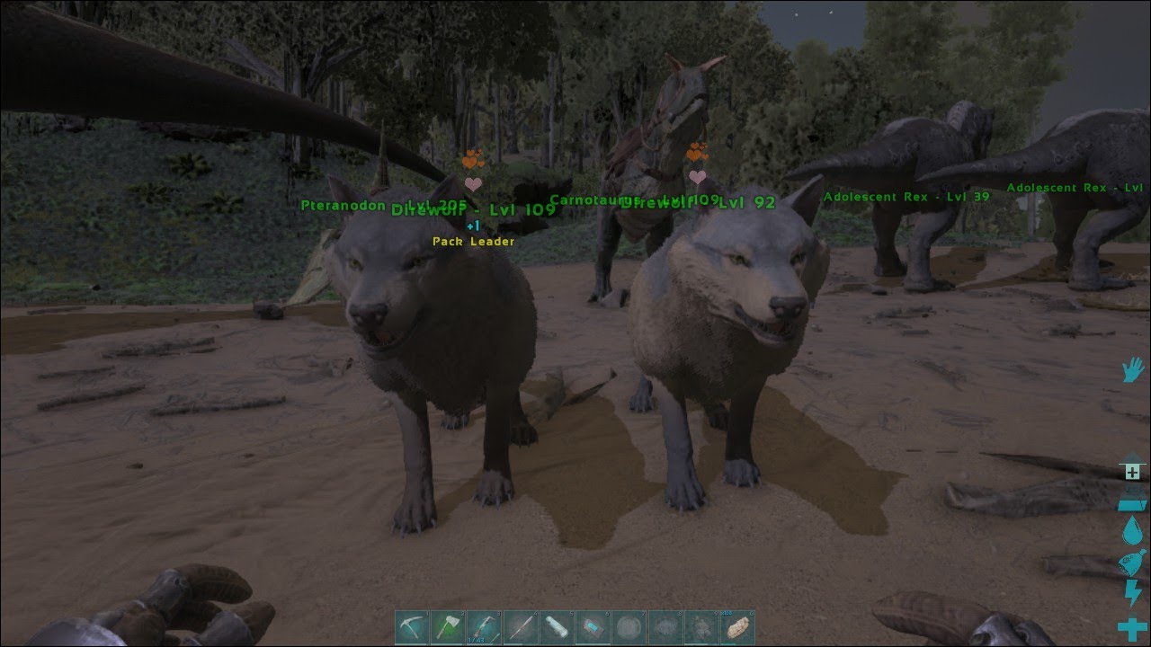 Ark the lsland #13 mình đã bắt được hai chú sói Direwolf