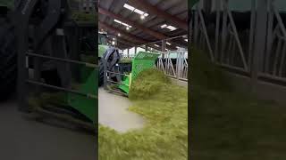 Happy cows, happy farmer. Keeping the feed fresh and tidy with Padagas attachments! 🚜💨 #farmtok #c