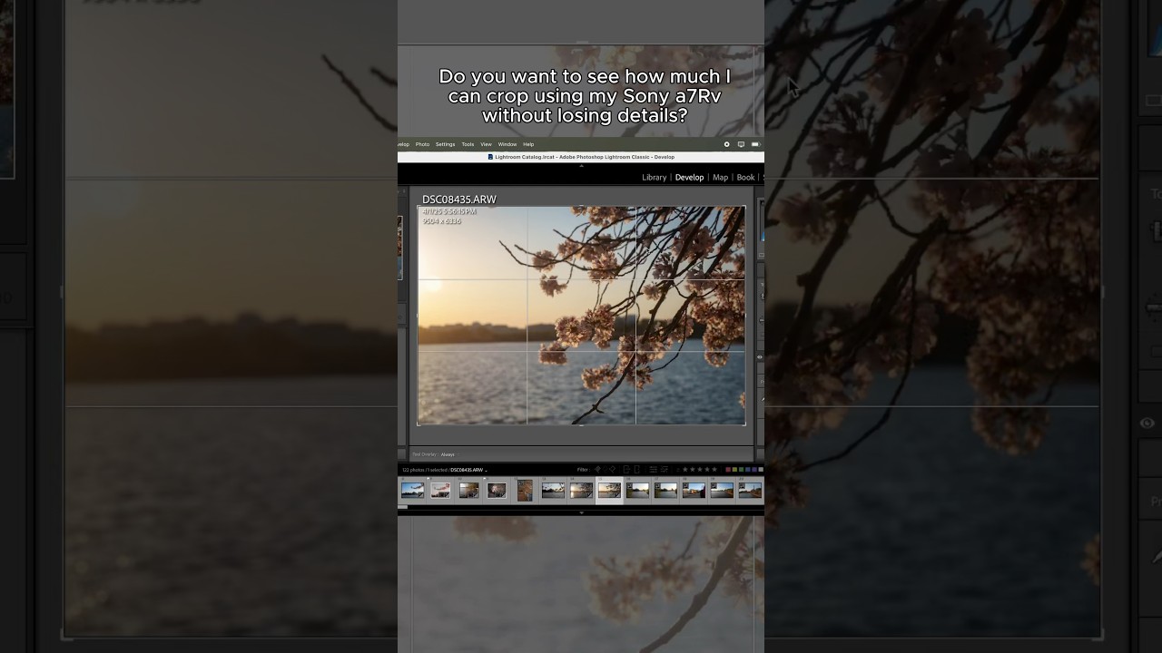 Crop till your heart's content with Sony a7RV 