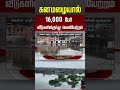 கனமழையால் 16,000 பேர் வீடுகளிலிருந்து வெளியேற்றம் #HeavyRain #Flood #FloodAlert #shorts