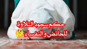 حكم سجود التلاوة للحائض و النفساء؟