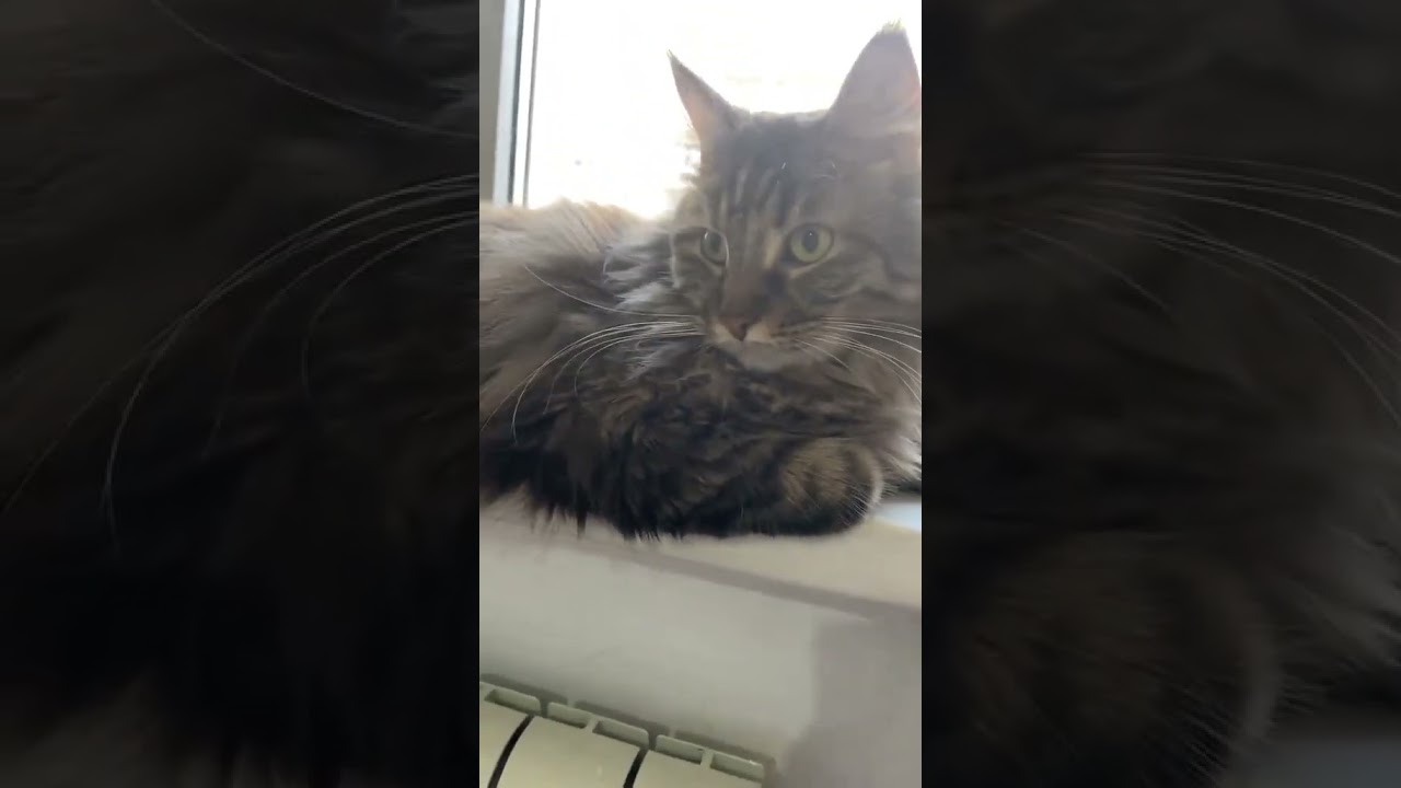 Это Анфиса! Больнее всего 