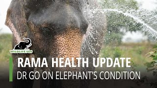 Rama Health Update