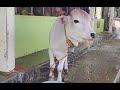 Manoj tkdm is live!