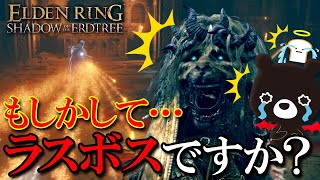 【🌳ELDEN RING SOE】エルデンリング『孤牢の剣士』 VS 悪魔のあ～くま ＃１【🐻ゆるくまゲーム実況🎮️】