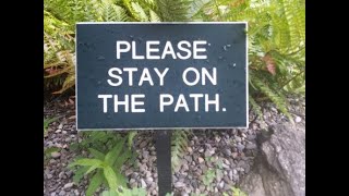 The Path: First Steps to Discipleship - Step #5: How to Worship