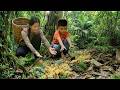 Han and Bon rescue abandoned ducklings in the deep forest.