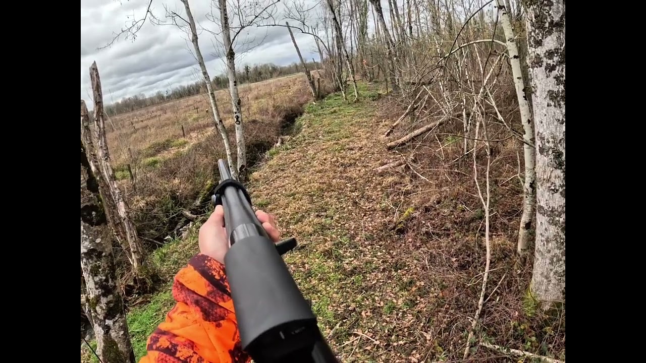 récap de plusieurs actions filmées cette année !! (des loupés qui font partie de la chasse🤣)#hunting