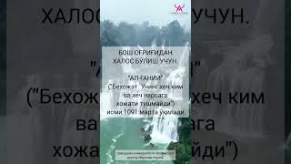 Швецария университети профессори, доктор Иброхим Карим