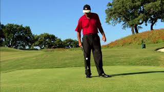 Golf:Tapping