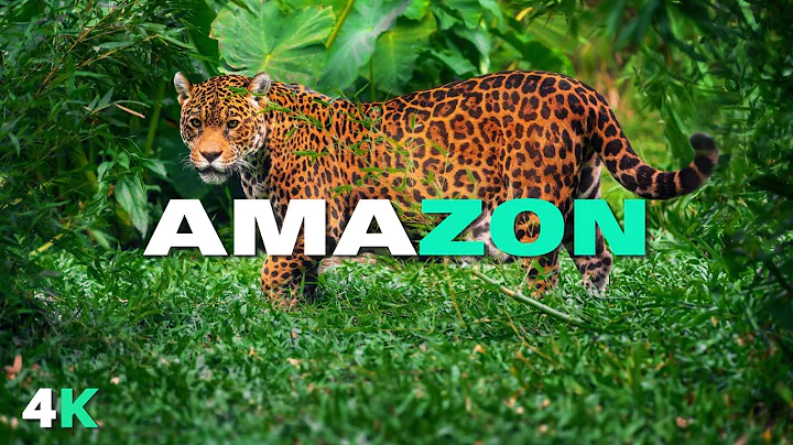 The Most Beautiful and Dangerous Place on Earth 🌎 | Explore World's Wildest Jungle | 4K Documentary