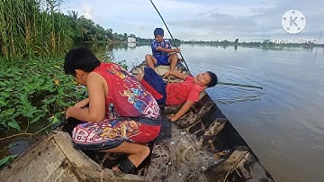 Ba đứa siêu quậy đi bắt ốc mùa nước nổi quá vui 