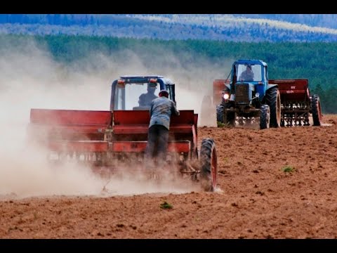 Как проходит посев зерновых в Джидинском районе 2013