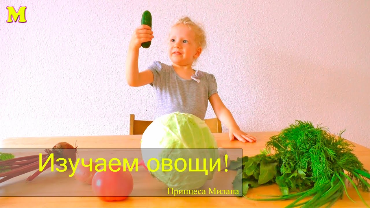 Овощи и зелень для детей Обучение! Vegetables and herbs for children Training!