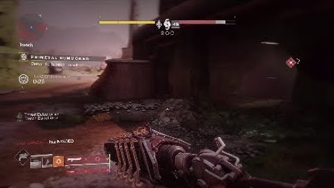 Gambit team wipe and 1 bullet invader kill