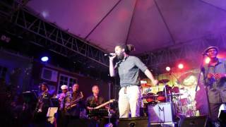 Dre Tosh - Maga Dog Live At Peter Tosh Museum Opening