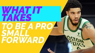 What It Takes To Be A Pro Basketball Small Forward (3 and D/Wing)!!!