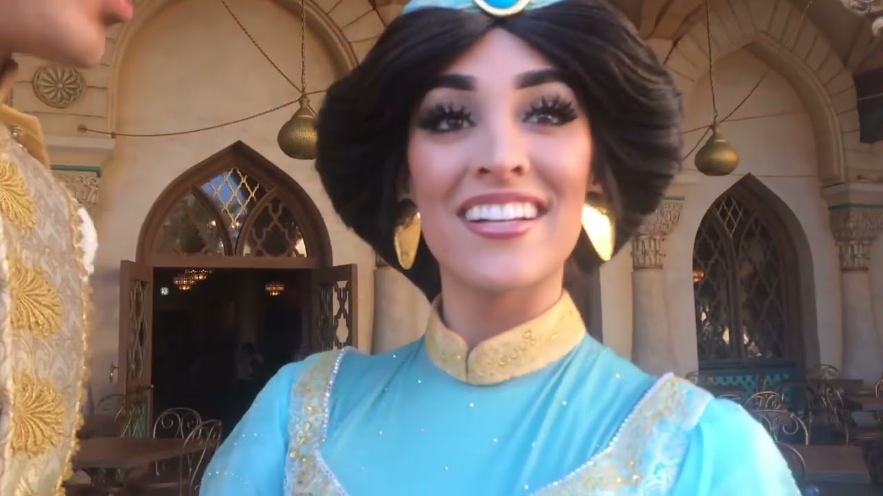 ディズニーシーで大好きなジャスミンとアラジンとグリーティング