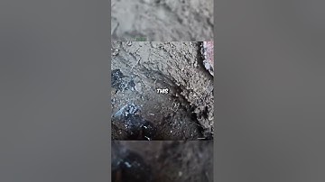 Preventing Clogs: Tips for Maintaining Your Drains