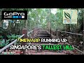 TIMEWARP RUNNING UP SINGAPORE&#39;S TALLEST HILL! | GOPRO HERO 9 BLACK