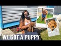 PICKING UP MY CAVAPOO PUPPY + FIRST WEEK HOME WITH 8 WEEK OLD NEW PUPPY | VLOG