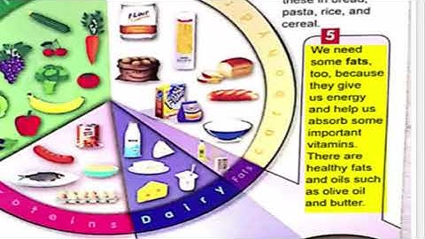 connect plus primary 3 | Term 1 | Unit 3 ( What