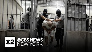 Order to halt deportations under Alien Enemies Act upheld by federal appeals court