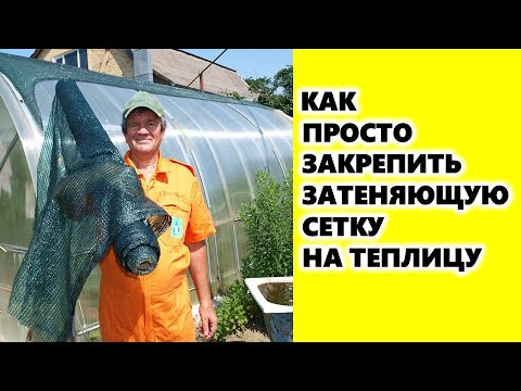 Видео: Нарнаас хамгаалах хүлэмж