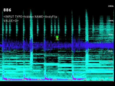 INPUT TYPE=hidden NAME=AndyFlip VALUE=0