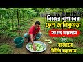 নিজের বাগানের ফ্রেশ জালিকুমড়া সংগ্রহ করলাম,,, আর বাজারে বিক্রি করলাম