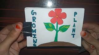 FLIP BOOK - GROWING PLANT