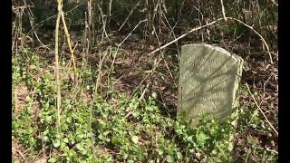 DNA match reunites Bonner family, sparking historic Sycamore Cemetery restoration