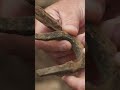Iron Staple Discovery and Significance