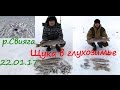 Щука на живца. Отличный клев щуки, сорожки и сопы. 1080. Отчет о рыбалке.