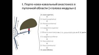 Порто-Кавальные Анастомозы