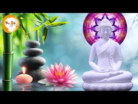 Nhạc Thiền Phật Giáo - Nhạc Thiền Tĩnh Tâm An Lạc, Nghe Nhẹ Lòng Bớt Khổ, Tiêu Tan Muộn Phiền