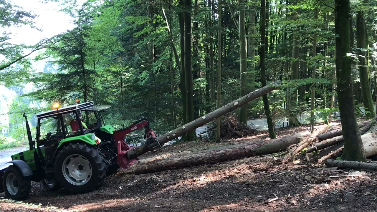 Holz ausfahren mit Deutz DX 3.50 und Auer Rückezange