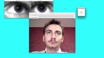 Gaze Point Estimation (Eye tracking) using single low-cost web-cam