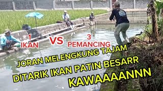 MANCING IKAN PATIN BESAR 1 IKAN VS 3 PEMANCING, SIAPA YANG BERHASIL???