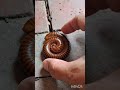 超ロングヤスデの処理方法2
