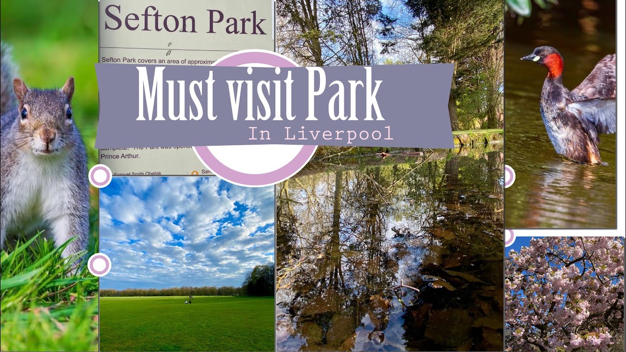 Must visit Park in Liverpool -Sefton park | best place to spend weekend time in Liverpool 