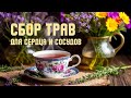 СБОР ТРАВ ДЛЯ СЕРДЦА И СОСУДОВ— важная информация