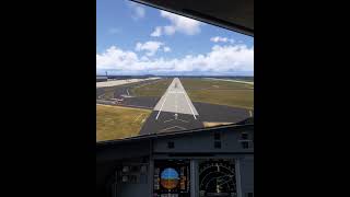 Pilot's View Challenging Landing in Germany #simulator #aviation #pov #airplane #landing #trending