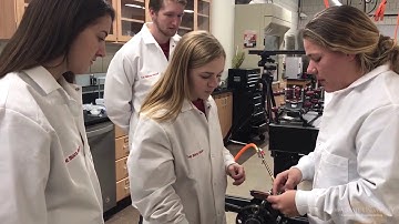 Shock Tube Tutorial for Blast-induced Traumatic Brain Injury Research