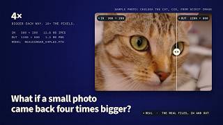 What if a small photo came back four times bigger | Real-ESRGAN Mac Wrapper