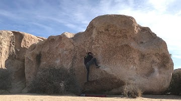 Joshua Tree - Undertow